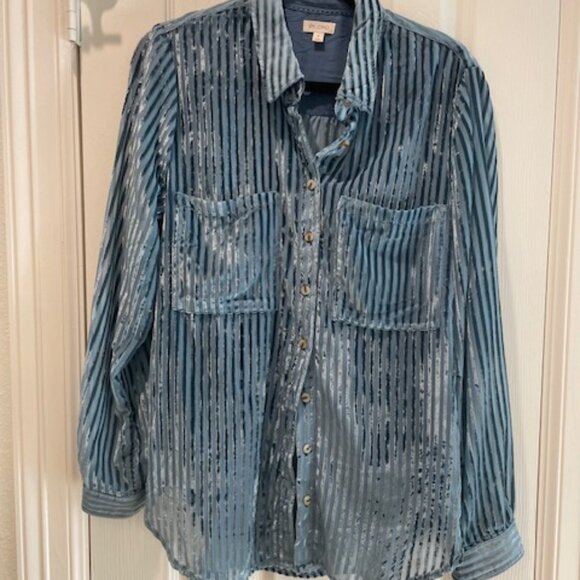 NWOT Anthropologie Pilcro Blue Velvet Burnout Striped Blouse Size Medium - Picture 2 of 9